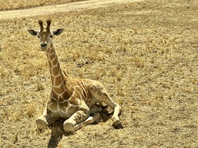 SIZED-GSSA-2022-CADEYRN-WEBSITE-GALLERY-10