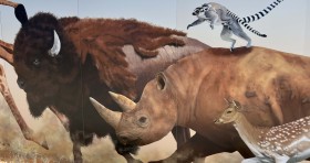 SIZED-GSSA-2022-CADEYRN-WEBSITE-GALLERY-13