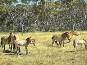 SIZED-GSSA-2022-CADEYRN-WEBSITE-GALLERY-18