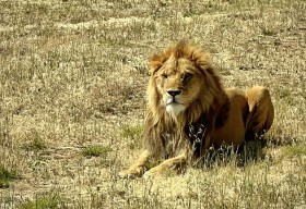 SIZED-GSSA-2022-CADEYRN-WEBSITE-GALLERY-20