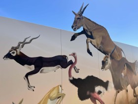 SIZED-GSSA-2022-CADEYRN-WEBSITE-GALLERY-21