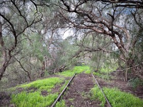 SIZED-GSSA-2022-CADEYRN-WEBSITE-GALLERY-27