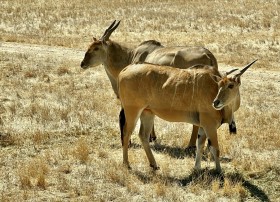 SIZED-GSSA-2022-CADEYRN-WEBSITE-GALLERY-8