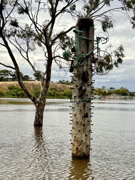 2022-12-21-GSSA-RICK-B-STURT-RESERVE-FLOODS-13