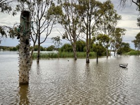 2022-12-21-GSSA-RICK-B-STURT-RESERVE-FLOODS-14