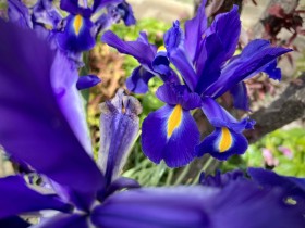 SIZED-GSSA-2022-SUZANNE-WEBSITE-GALLERY-21