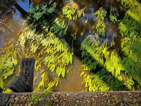 SIZED-GSSA-2022-SUZANNE-WEBSITE-GALLERY-23