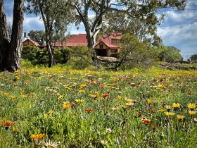 SIZED-GSSA-2022-VERONICA-WEBSITE-GALLERY-1