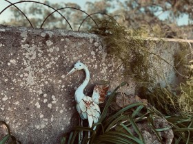 SIZED-GSSA-2022-VERONICA-WEBSITE-GALLERY-11