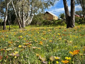 SIZED-GSSA-2022-VERONICA-WEBSITE-GALLERY-2