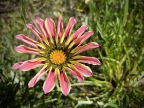 SIZED-GSSA-2022-VERONICA-WEBSITE-GALLERY-3