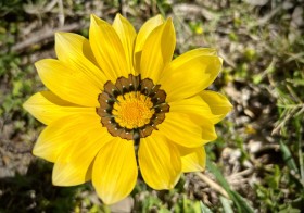 SIZED-GSSA-2022-VERONICA-WEBSITE-GALLERY-4