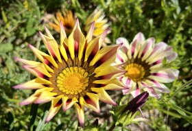 SIZED-GSSA-2022-VERONICA-WEBSITE-GALLERY-5