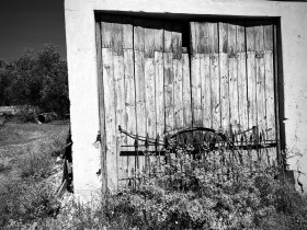 SIZED-GSSA-2022-VERONICA-WEBSITE-GALLERY-7